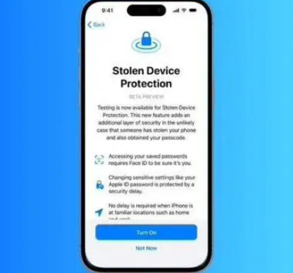 临夏苹果授权维修店分享被盗设备保护功能开启方法 