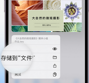 临夏apple维修中心分享iPhone文件应用中存储和找到下载文件