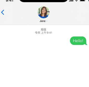 临夏apple维修iPhone上无法正常发送iMessage信息