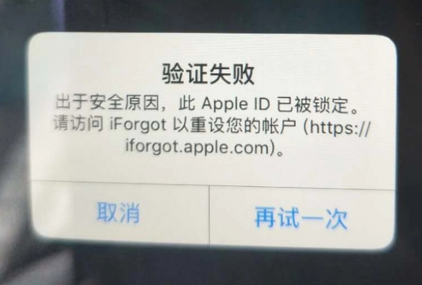 临夏iPhone维修分享iPhone上正常登录或使用AppleID怎么办 