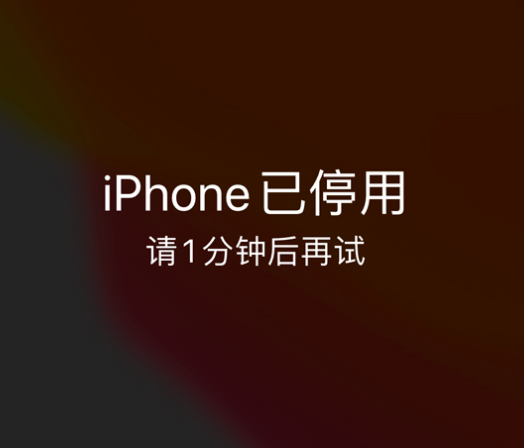 临夏苹果手机维修分享:iPhone 显示“不可用”或“已停用”怎么办？还能保留数据吗？ 