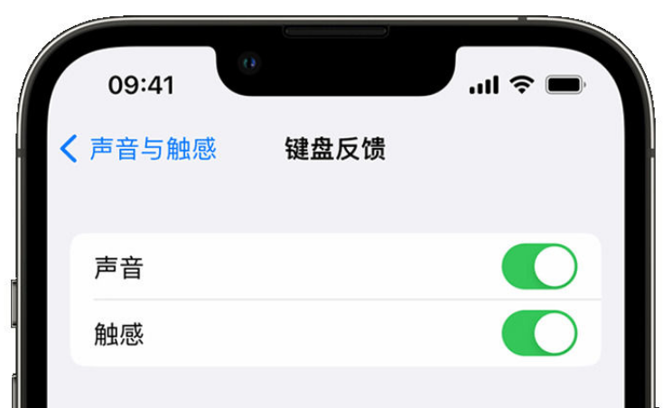 临夏苹果手机维修分享iPhone 14触感键盘使用方法 