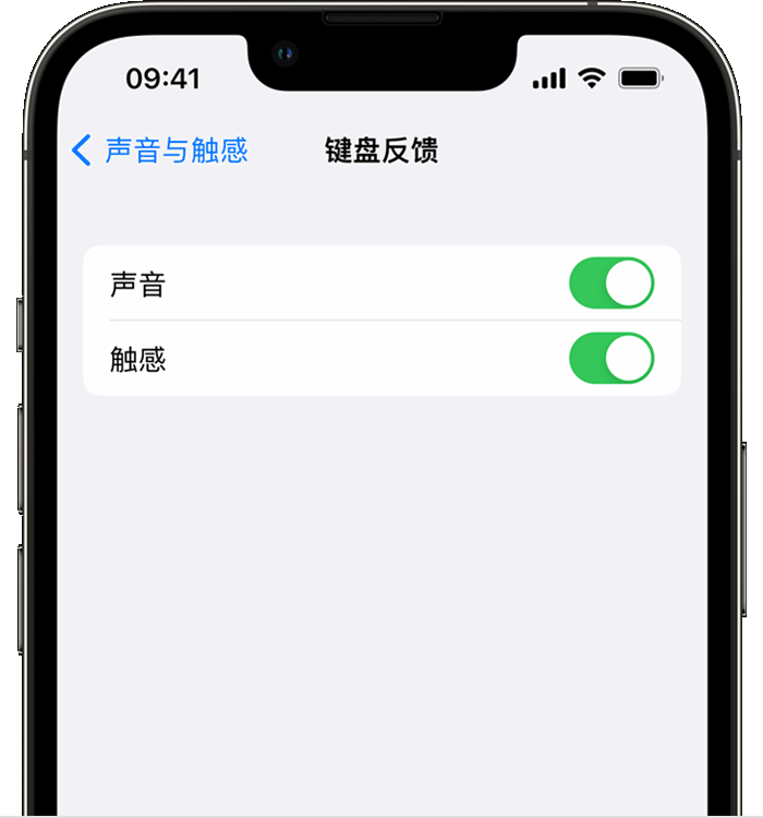 临夏苹果14维修店分享如何在 iPhone 14 机型中使用触感键盘 