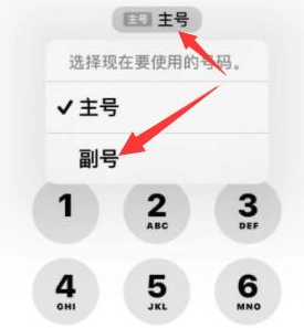 临夏苹果14维修店分享iPhone 14 Pro Max使用副卡打电话的方法 