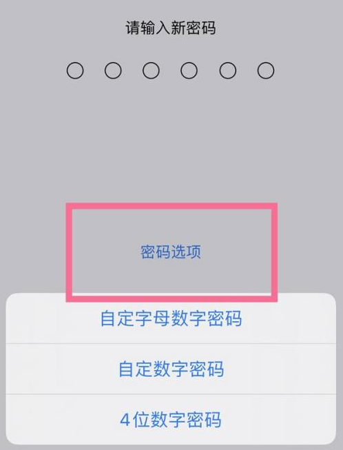 临夏苹果14维修分享iPhone 14plus设置密码的方法 