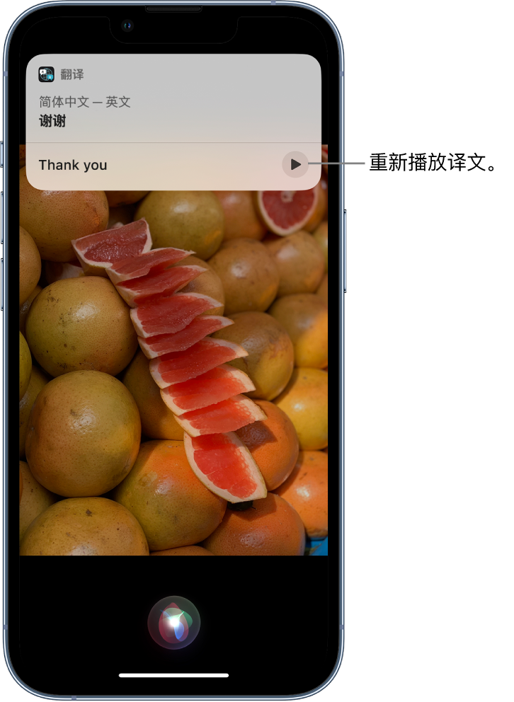 临夏苹果14维修分享 iPhone 14 机型中使用 Siri：了解 Siri 能帮你做什么 