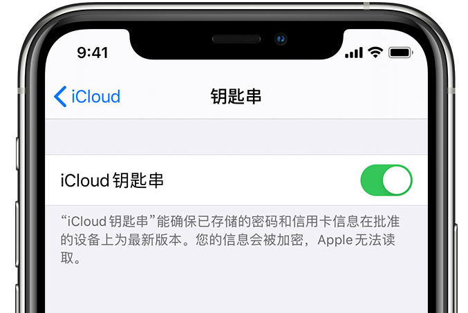 临夏苹果手机维修分享在 iPhone 上开启 iCloud 钥匙串之后会储存哪些信息 