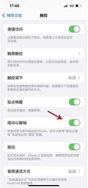 临夏苹果手机维修分享iPhone手机如何设置摇一摇删除文字 