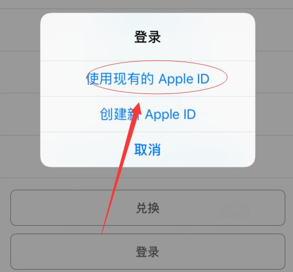 临夏苹果手机维修分享两台iPhone设备可以同时登录一个Apple ID吗 