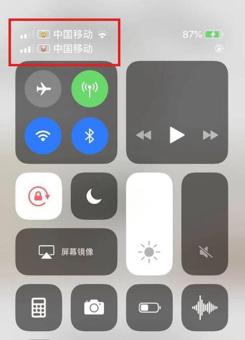 临夏苹果手机维修分享为 iPhone 12 双卡设置标签 