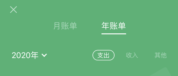 临夏苹果手机维修分享如何在 iPhone 上查看支付宝和微信年支出账单 